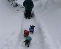 Snowfall 1-08